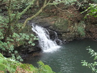 Medium_dscf6790