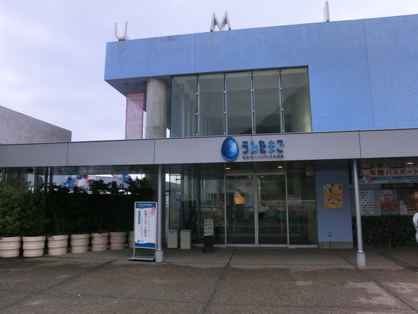 うみたまご 施設詳細 全国バリアフリー旅行情報