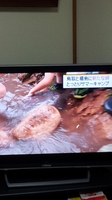 添付画像