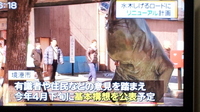 添付画像