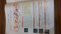 添付画像