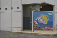 Medium_建物出入口