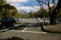 Medium_駐車場の仕上げ