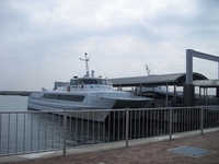 Medium_cimg4839