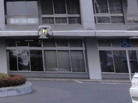 Medium_01_仙台市役所駐車場屋根