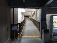 Medium_01_泉パークタウンタピオ駐車場から建物