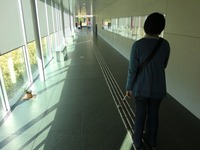 Medium_01建物内通路