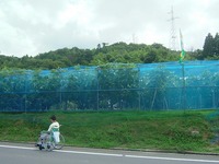Medium_02駐車場から建物