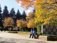 Medium_01_錦町公園メイン