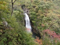 Medium_01_秋保大滝メイン