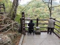 Medium_02_秋保大滝メイン