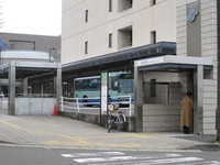 Medium_img_1809