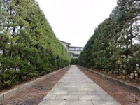 Medium_01_藤田喬平ガラス美術館駐車場～建物まで