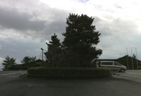 Medium_03_松島一の坊駐車場