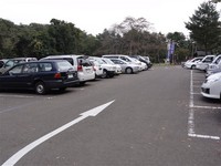 Medium_01_木の家珈琲館一般駐車場