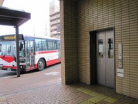 Medium_img_1785