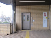 Medium_img_1783