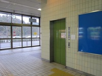 Medium_img_1805