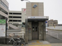 Medium_img_1808