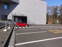 Medium_01_仙台市博物館駐車場