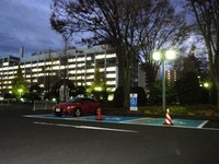 Medium_01_宮城県庁駐車場