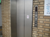 Medium_img_4766