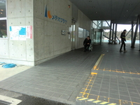 Medium_cimg6001