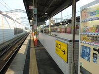 Medium_cimg7100