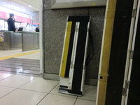 Medium_cimg7110