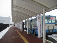 Medium_img_4771