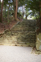 Medium_imgp5318