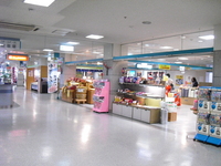 Medium_cimg4310