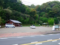 Medium_dscf8832