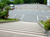 Medium_dscf9097