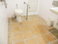 Medium_dscf1048