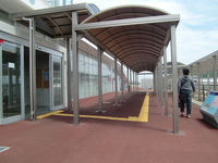 Medium_cimg2962