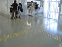 Medium_cimg7535