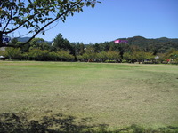 Medium_cimg7765