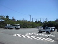 Medium_cimg7767