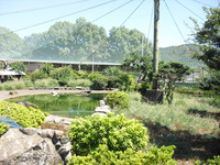 Medium_cimg7785
