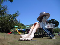 Medium_cimg7789