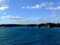 Medium_海