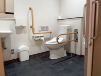 Medium_トイレ内部1