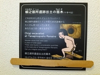 Medium_トイレ内部1