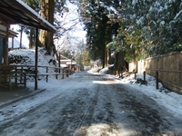 Medium_dscf0088
