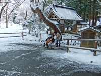 Medium_dscf0147