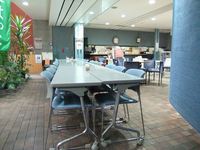 Medium_dscf110_r