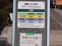 Medium_bijyutsukan046_r