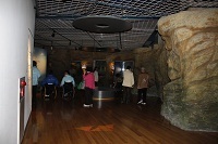 Medium_水族館中2