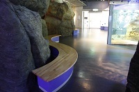 Medium_水族館中4